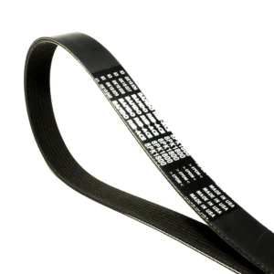 Faja 8PK1275 8PK1275 : Faja Poly V / Correa de Transmisión