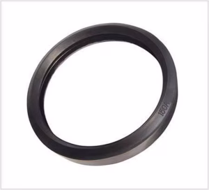 10002526 : Sello DN125 5.5" Schwing Stetter